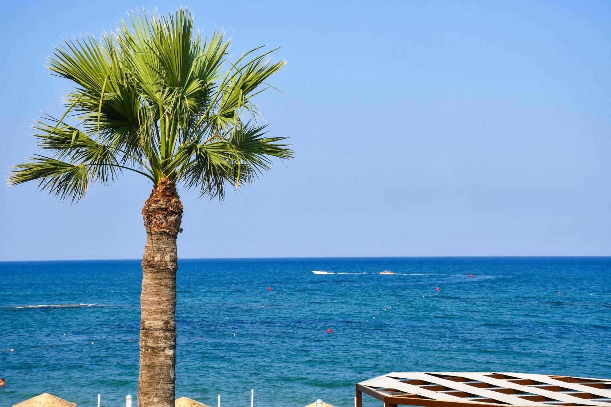 Mimoza Beach Hotel Agios Sergios Buitenkant foto